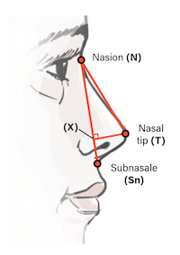 Powell and Humphreys Method